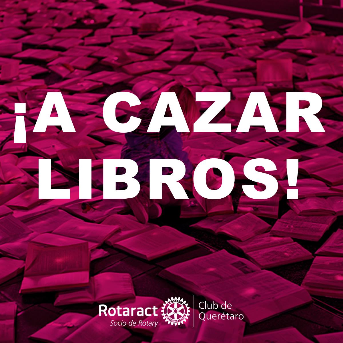 A CAZAR LIBROS ! Libroperdido en Querétaro
